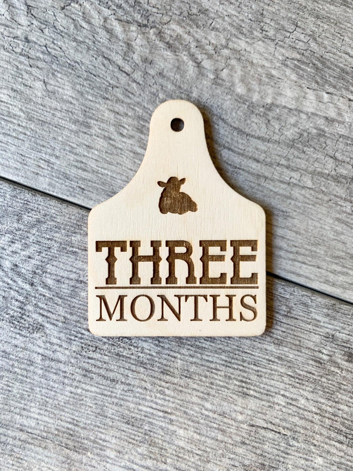 Ear Tag Milestone Markers